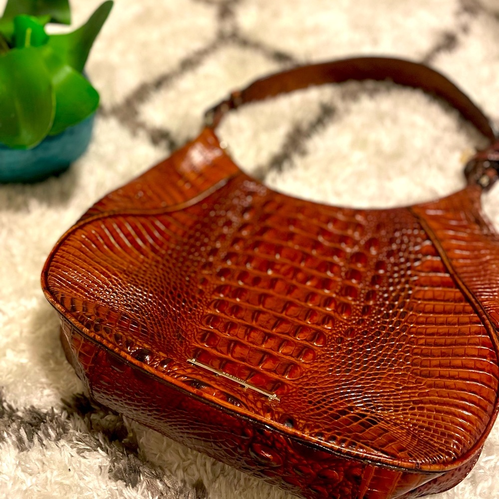 Amira Pecan Brahmin